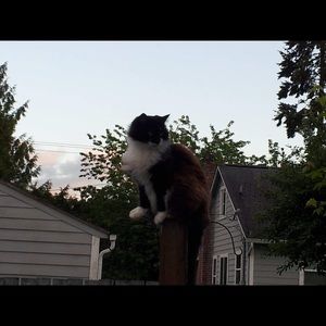 Meet your Posher, Tammy